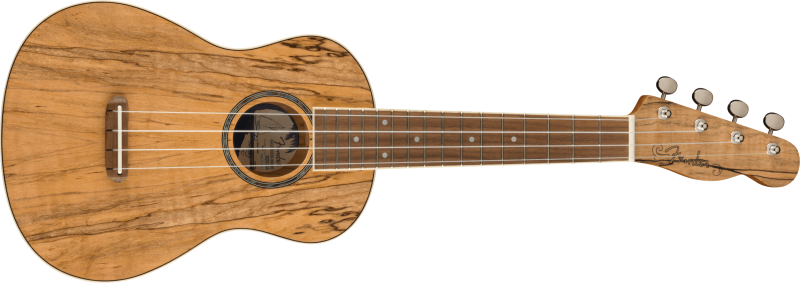 Fender Koncert ukulele Spalted Maple, exotické dřevo
