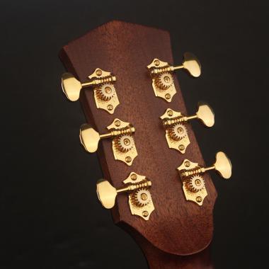 Cort Co-Gold-A6 with case akusztikus gitár, All solid