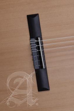 Alhambra ALH-Z Nature CW EZ + case Gitár, cédrus, mahagóni, indiai rózsafa fogólap, Fishman előerősítő, tokkal