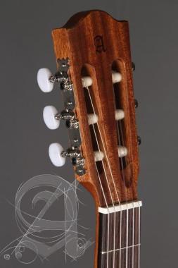 Alhambra ALH-Z Nature CW EZ + case Gitár, cédrus, mahagóni, indiai rózsafa fogólap, Fishman előerősítő, tokkal