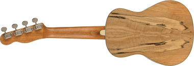 Fender Zuma Exotic Spalted Maple koncert ukulele