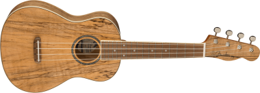 Fender Zuma Exotic Spalted Maple koncert ukulele