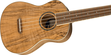 Fender Zuma Exotic Spalted Maple koncert ukulele