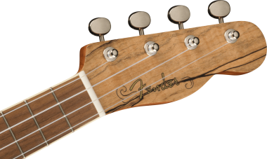 Fender Zuma Exotic Spalted Maple koncert ukulele