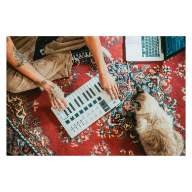 Arturia ART231501 MINILAB 3 White