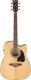 Ibanez Dreadnought elektroakustická kytara AW70ECE-NT
